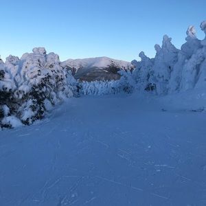 Meet your Posher, Rachael